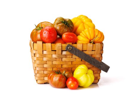 Foto de Tomates surtidos en cajón rústico. Aislado sobre fondo blanco - Imagen libre de derechos
