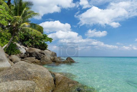 Photo for Sunny vacation landscape of tropical sea, palms and stones - Royalty Free Image