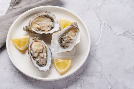 Fresh oysters with lemon on plate. with copy space