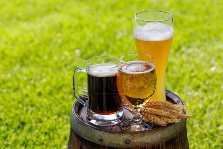 Variedad de vasos de cerveza en barrica de madera rústica. Soleado al aire libre con espacio de copia