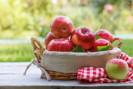 Basket with fresh red apples on the garden table with copy space
