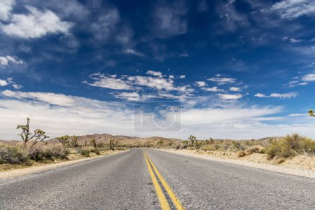 Ein atemberaubendes Foto des Joshua Tree Nationalparks, das die einzigartige Landschaft und Schönheit der Mojave-Wüste zeigt