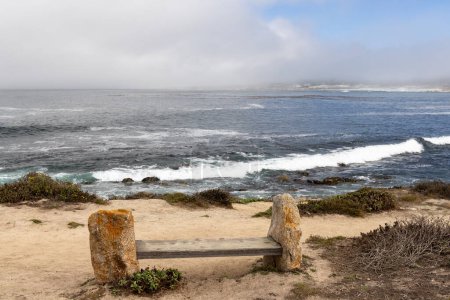 Un cautivador paisaje costero con el majestuoso océano a lo largo de la pintoresca 17-Mile Drive en California