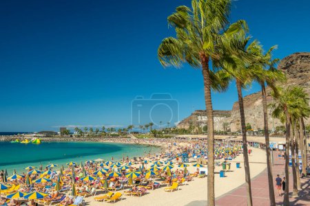 Téléchargez les photos : Gran Canaria, Espagne - 1er février 2023 : Plage de Playa de Amadores à Gran Canaria, Îles Canaries, Espagne. Destination de vacances de luxe sur les îles Canaries. Palmiers et plage d'eau de mer turquoise. - en image libre de droit