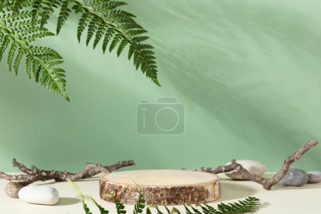 Téléchargez les photos : Podium en bois avec feuilles vertes et pierres naturelles. podium abstrait pour les produits cosmétiques biologiques. Stand naturel pour la présentation et les expositions. Vue de face - en image libre de droit