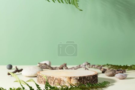 Téléchargez les photos : Podium en bois avec feuilles vertes et pierres naturelles. podium abstrait pour les produits cosmétiques biologiques. Stand naturel pour la présentation et les expositions. Vue de face - en image libre de droit