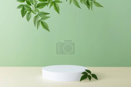Foto de Resumen podio blanco vacío con hojas verdes sobre fondo verde. Simulación de pie para la presentación del producto. 3D Render. Concepto mínimo. Plantilla publicitaria - Imagen libre de derechos