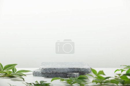 Photo for Monochrome gray template for mockup, banner. Flat granite pedestal and green leaves on light gray background. Stone stand for natural design concept. Horizontal image, center composition, hard light - Royalty Free Image