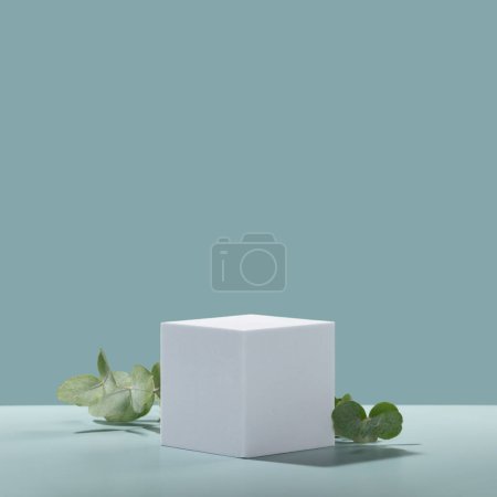 Téléchargez les photos : Cube podium blanc vide abstrait avec feuilles d'eucalyptus et ombres sur fond bleu. Maquette stand pour la présentation des produits. 3D Render. Concept minimal. Modèle de publicité - en image libre de droit