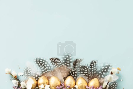 Foto de Crudo de huevos dorados de codorniz y plumas de codorniz sobre fondo azul. Hermosa composición moderna minimalista de Pascua. Copiar espacio, vista superior, plano - Imagen libre de derechos