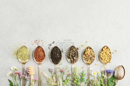 Photo for Different types of tea in vintage spoons. and Healing herbs Flat lay, top view on concrete background. Matcha, rooibos, black, green, herbal mix and camomile tea. Herbal medicine, alternative - Royalty Free Image