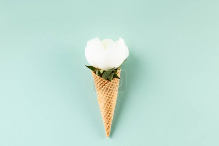Téléchargez les photos : Nature morte créative de cône de gaufre avec fleur de pivoine sur fond bleu clair pastel, vue de dessus. Concept minimal d'été - en image libre de droit