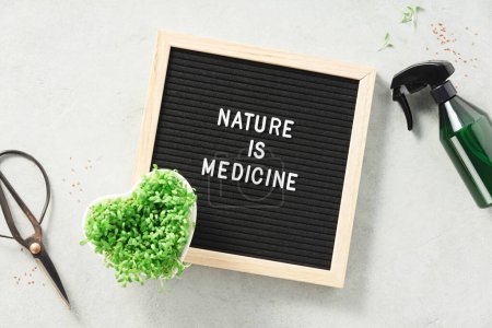 Foto de La naturaleza es la medicina tablero de cartas y micro greens plana laica. Concepto de alimentación saludable - Imagen libre de derechos