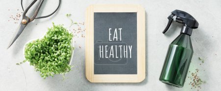 Photo for Micro greens and Black chalk board flat lay. Minimal design. Vegan and healthy eating concept. Eat healthy text banner - Royalty Free Image