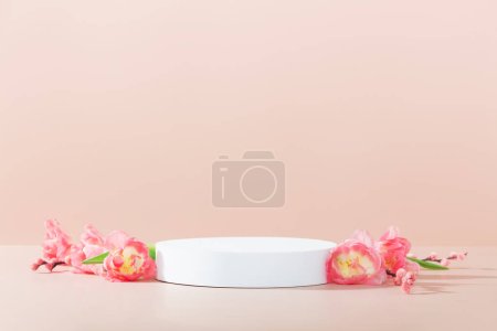 Téléchargez les photos : Podium abstrait vide en mousse blanche sur fond rose. Maquette stand pour la présentation des produits. 3D Render. Concept minimal. Modèle de publicité - en image libre de droit