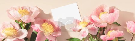 Beautiful pink peony flower on pink background top view flat lay style