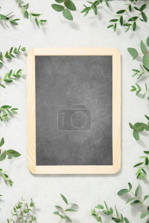 Photo for Frame made of eucalyptus branches and empty chalk board on concrete background - Royalty Free Image