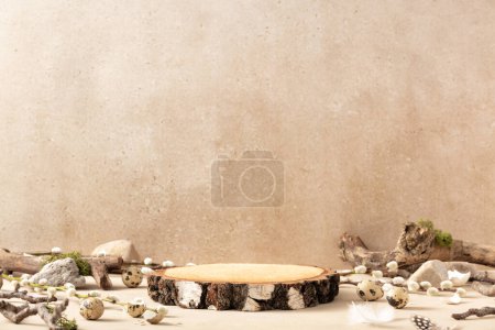 Concepto de Pascua. Vaciar podio redondo de madera, huevos de codorniz con una ramita de sauce esponjoso, piedras y palos sobre un fondo beige