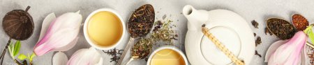 Foto de Una exhibición panorámica de diferentes tipos de hojas de té y té elaborado en tazas, con una delicada flor de magnolia que añade un toque de frescura primaveral a la escena. Banner - Imagen libre de derechos