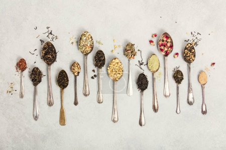 An array of vintage spoons, each containing different types of loose-leaf tea, laid out on a neutral backdrop. The selection showcases a variety of flavors and colors, highlighting the diversity of