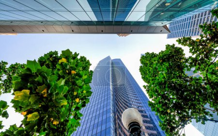 Photo for Skyscrapers surrounded by trees, skyward view. Business and corporate concept. - Royalty Free Image