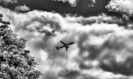 Téléchargez les photos : Avion volant dans le ciel, arbre coloré au premier plan. - en image libre de droit