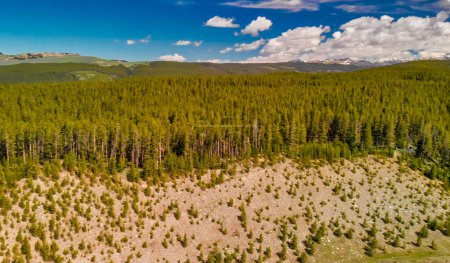 Téléchargez les photos : Vue aérienne du lac Tensleep Reservoir dans le Wyoming, saison estivale. - en image libre de droit