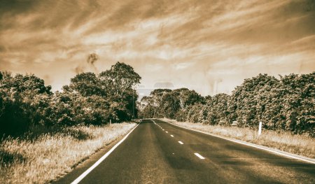 Photo for Road along the Victoria State, Australia. - Royalty Free Image