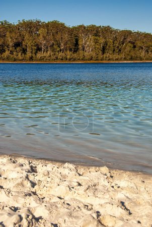 Foto de Lago Mc Kenzie al atardecer en Fraser Island, Queensland - Australia - Imagen libre de derechos