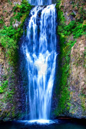 Photo for Multnomah Falls is a waterfall located on Multnomah Creek in the Columbia River Gorge, east of Troutdale, between Corbett and Dodson, Oregon - Royalty Free Image
