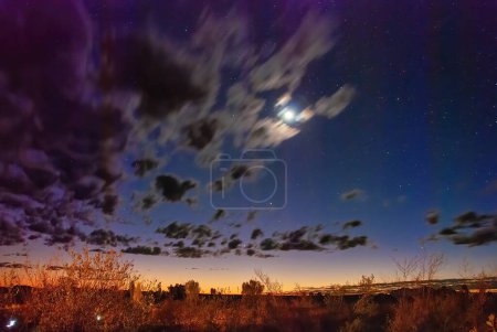Foto de Australian Outback en la noche con luna y estrellas. - Imagen libre de derechos