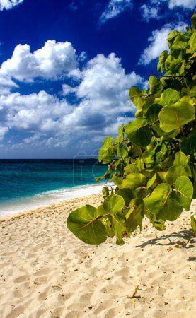 Téléchargez les photos : Eaux turquoise de la mer des Caraïbes avec ciel sur fond, Grand Cayman - en image libre de droit