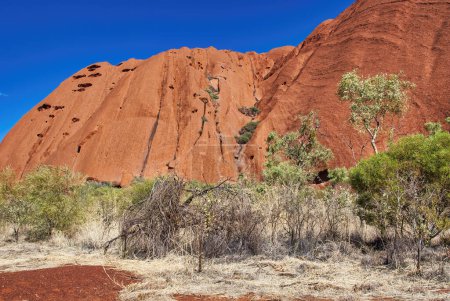 Foto de Vegetación del interior australiano y rocas rojas, Territorio del Norte. - Imagen libre de derechos