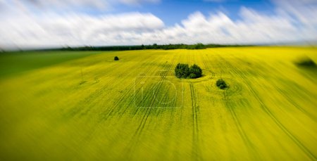 Téléchargez les photos : Vue aérienne de belles prairies jaunes en pleine campagne
. - en image libre de droit