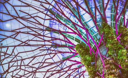Foto de SINGAPUR - 1 DE ENERO DE 2020: Espectáculos de luz de Rhapsody Garden en el Supertree Grove, Gardens By The Bay city park, ubicado en el área de Marina Bay - Imagen libre de derechos