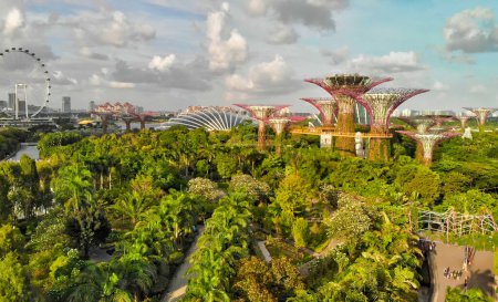 Foto de Singapur desde el aire. Jardines junto al parque de la bahía en el área de Marina Bay en una hermosa tarde soleada. - Imagen libre de derechos