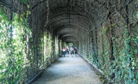 Foto de Movimientos borrosos de personas que visitan un parque de la ciudad dentro de un túnel hecho por hojas. - Imagen libre de derechos