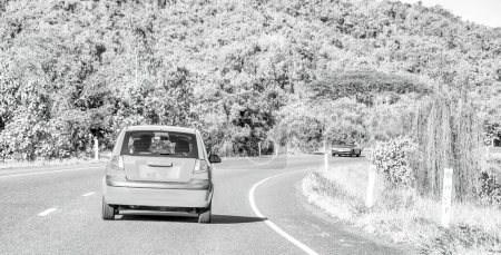Téléchargez les photos : Red car along the road to Daintree National Park, Queensland. - en image libre de droit