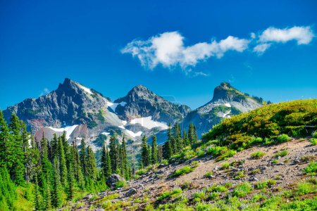 Téléchargez les photos : Beautiful summer landscape of Mount Rainier National park, USA - en image libre de droit