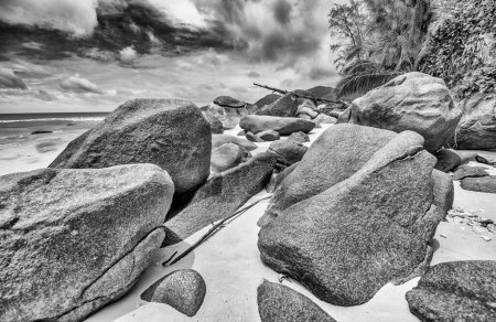 Téléchargez les photos : Amazing picturesque paradise beach with granite rocks and white sand, Seychelles travel concept. - en image libre de droit