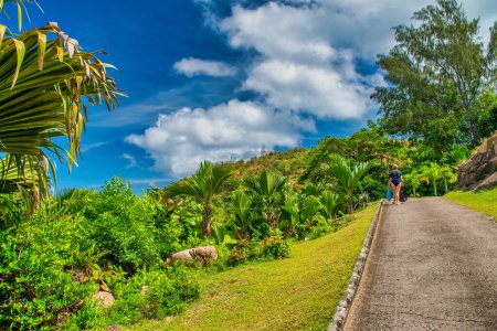 Foto de Mountains and vegetation of a beautiful tropical island. - Imagen libre de derechos