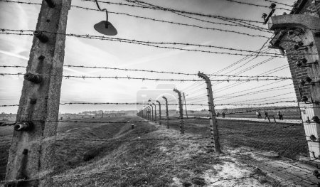 Foto de Campo de concentración Auschwitz-Birkenau en la Polonia ocupada durante la Segunda Guerra Mundial y el Holocausto. alambre de púas. - Imagen libre de derechos