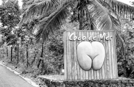 Foto de Coco de Mer street sign along a road of Seychelles. - Imagen libre de derechos