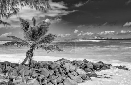 Foto de Tropical Paradise beach. Beautiful shoreline of Seychelles Islands. - Imagen libre de derechos