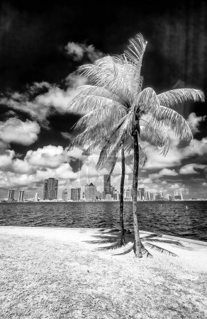 Photo for Infrared view of Miami skyline from Rickenbacker Causeway, Florida. - Royalty Free Image