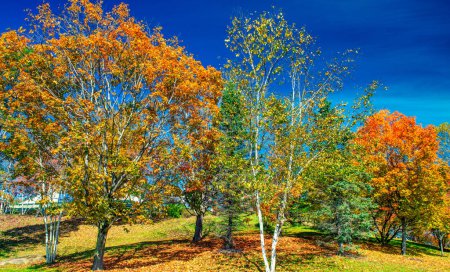Foto de Fall Foliage a través de las colinas de Vermont. Pico de color otoño en un hermoso día soleado en Nueva Inglaterra. - Imagen libre de derechos