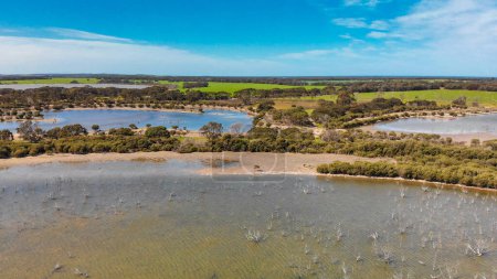 Téléchargez les photos : Kangaroo Island lake and trees, aerial view from drone - Australia. - en image libre de droit