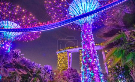 Foto de SINGAPUR - 1 DE ENERO DE 2020: Espectáculos de luz de Rhapsody Garden en el Supertree Grove, Gardens By The Bay city park, ubicado en el área de Marina Bay - Imagen libre de derechos