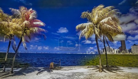 Foto de Infrared view of Miami skyline from Rickenbacker Causeway, Florida. - Imagen libre de derechos