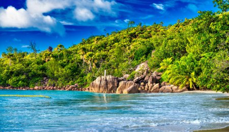 Téléchargez les photos : Beach and vegetation of Seychelles Islands. - en image libre de droit
